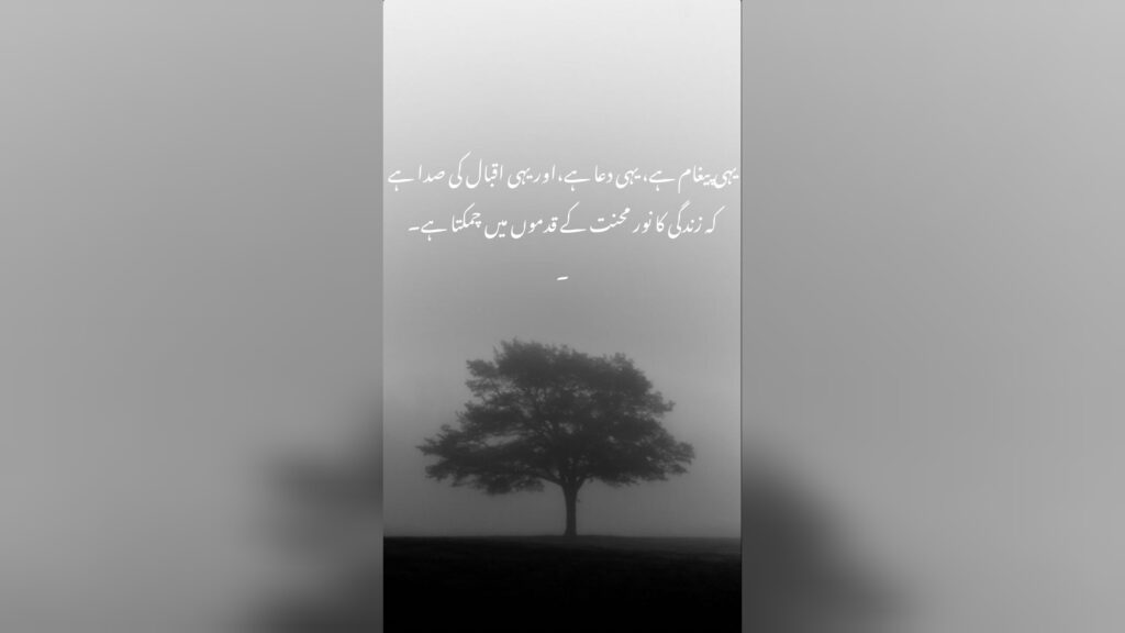 “From Dust to Light: Faith That Changes Fate”-urdu Poetry urdu poetry about life meaning and prayer