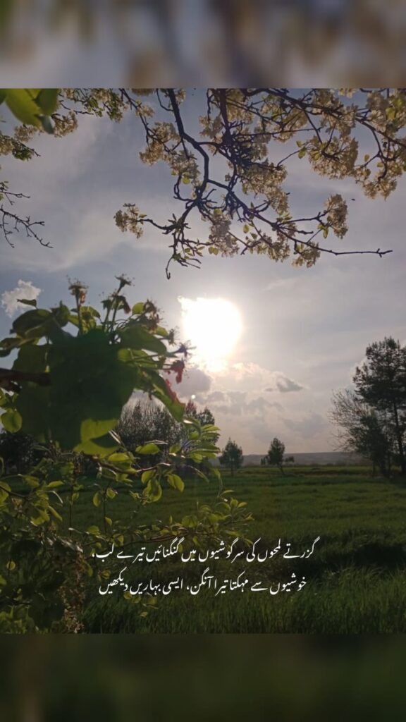 sunset over green fields with blossoming tree and urdu poetry quote serene nature landscape