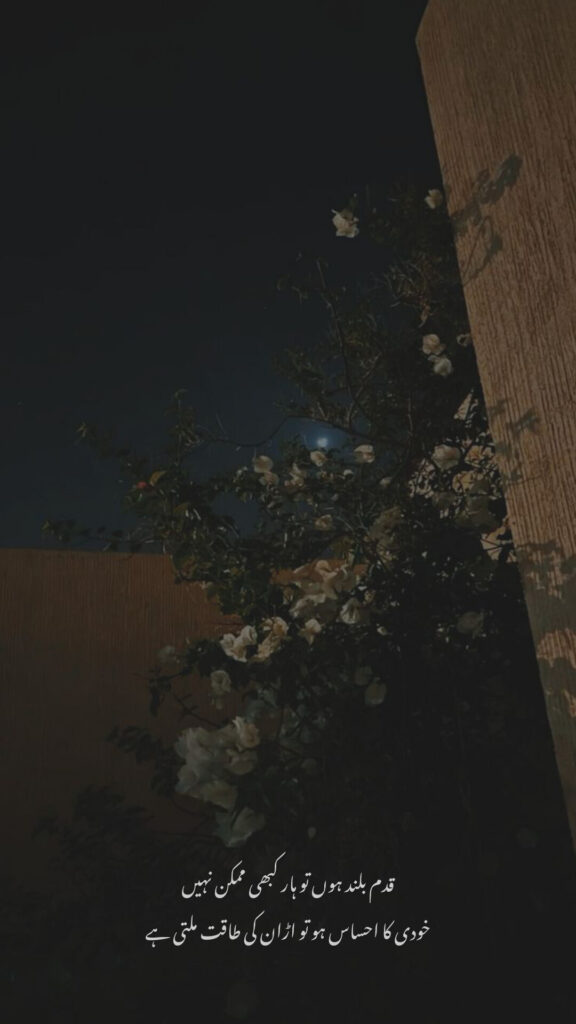 The Path of Truth and Rise to Greatness - Urdu Poetry urdu poetry motivational quote about self confidence with night sky and flowers background