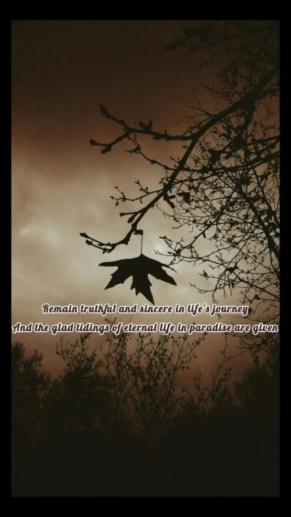 bare tree branches sunset sky truthful sincere life journey paradise motivational english poetry