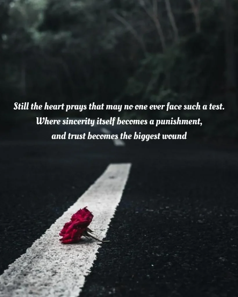 poem about broken trust symbolized by a single red rose lying on a white road line, surrounded by dark trees at night