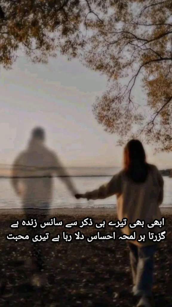 silhouette couple holding hands walking on beach under autumn trees