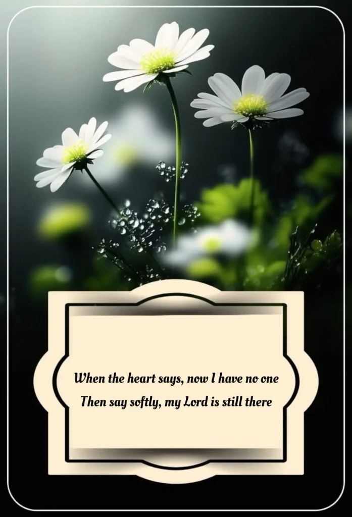 White daisies with dewdrops beside dua poetry about trusting the Lord when alone