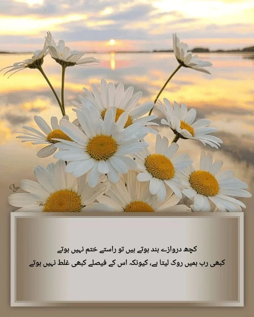 sabr poetry quote about closed doors and Allah's plan written over white daisy flowers