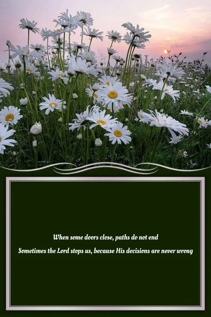 sabr poetry quote about closed doors and God's plan over a field of white daisies at sunset