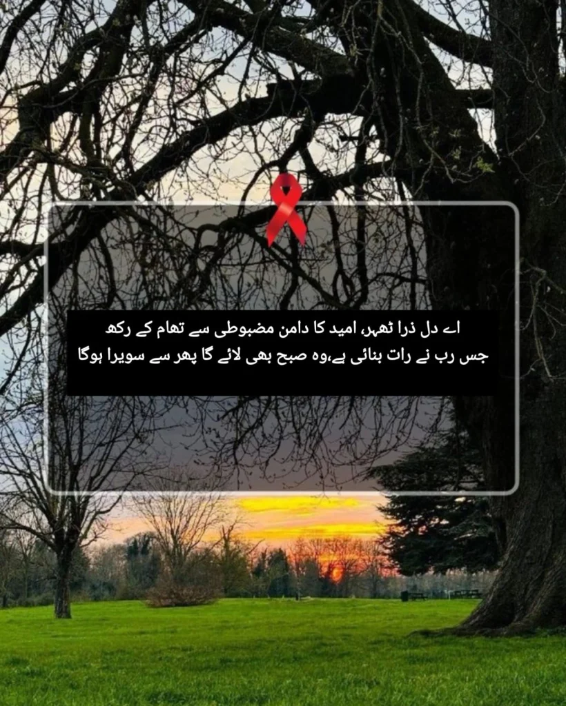 sabr poetry quote about hope written over bare winter tree branches at golden sunset