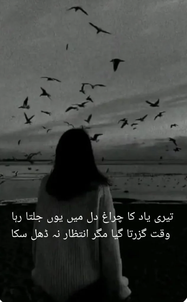girl watching birds fly over the beach at sunset, junoon shayari
